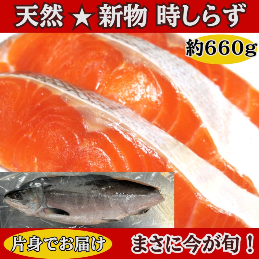 2025新物入荷しました！天然 新物時鮭（片身）約660g 時しらず 半身