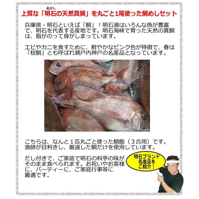 お中元に大人気！【神戸名産品】明石海峡 天然明石鯛(真ダイ 焼鯛１尾・たれ付き)！鯛めしのもと　３合用　<br>焼鯛　鯛飯　土鍋　たいめし｜marusazaiki｜02