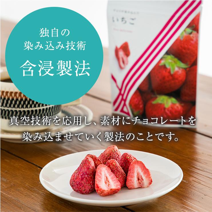 いちごチョコ　　このこのごはん ドライフード 1キロ✖️2袋 いちごチョコ このこのごはん ドライフード 1キロ✖️2袋 楽天市場