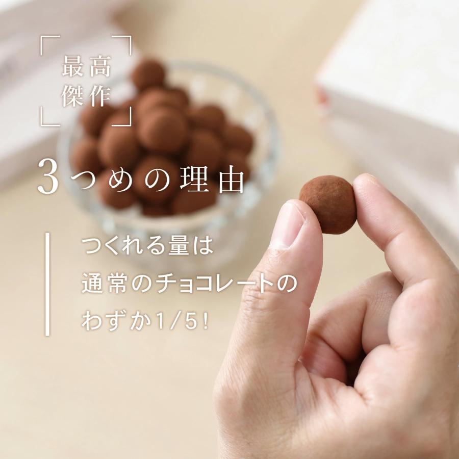 チョコ丸 まるしげ公式】TEMAHIMAN 生チョコレート 21粒入り ココア 個包装 紙袋
