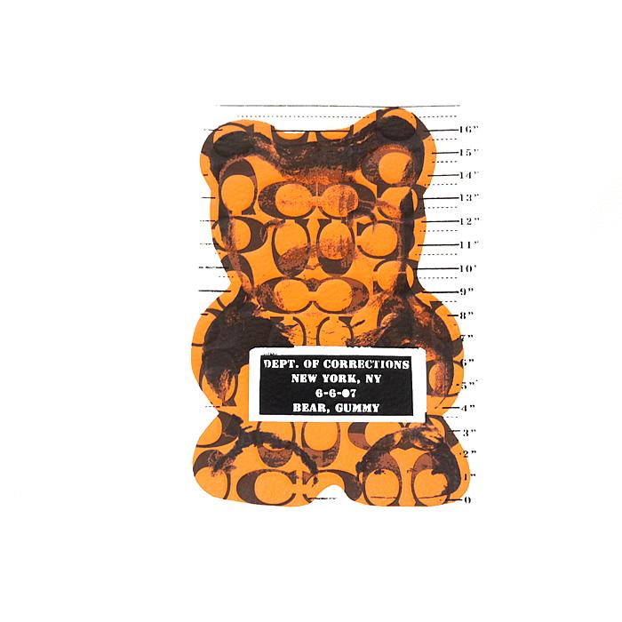 コーチ　coach クラッチバッグ　ヴァンダルガミー　くま　ベア COACH コーチ ウィズビー WhIsBe ヴァンダルガミー ベア VANDAL