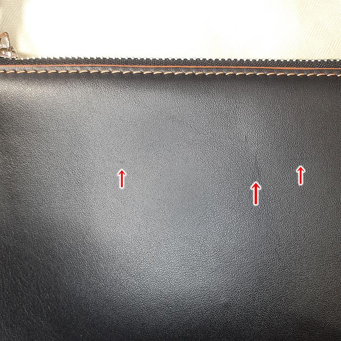 Gate(LOEWE) 【美品】ロエベ ゲート ダブルジップポーチ Gate(LOEWE) 【美品】ロエベ ゲート ダブルジップポーチ