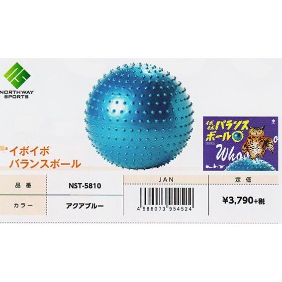 新品 T ZONE NORTHERN LIGHT ボール 15lb3oz値下げ済 Brunswick T Zone Northern Lights Bowling Balls FREE SHIPPING