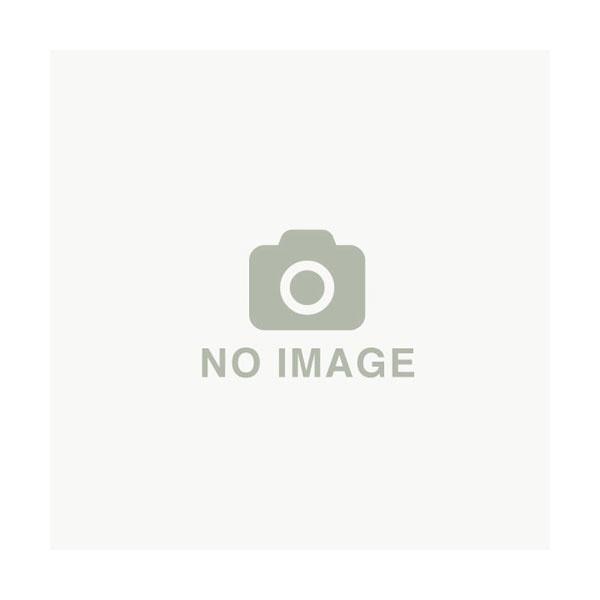 スパイダーモア 純正部品 スパイク車輪 ASSY (品番 0326-3910H) (共立