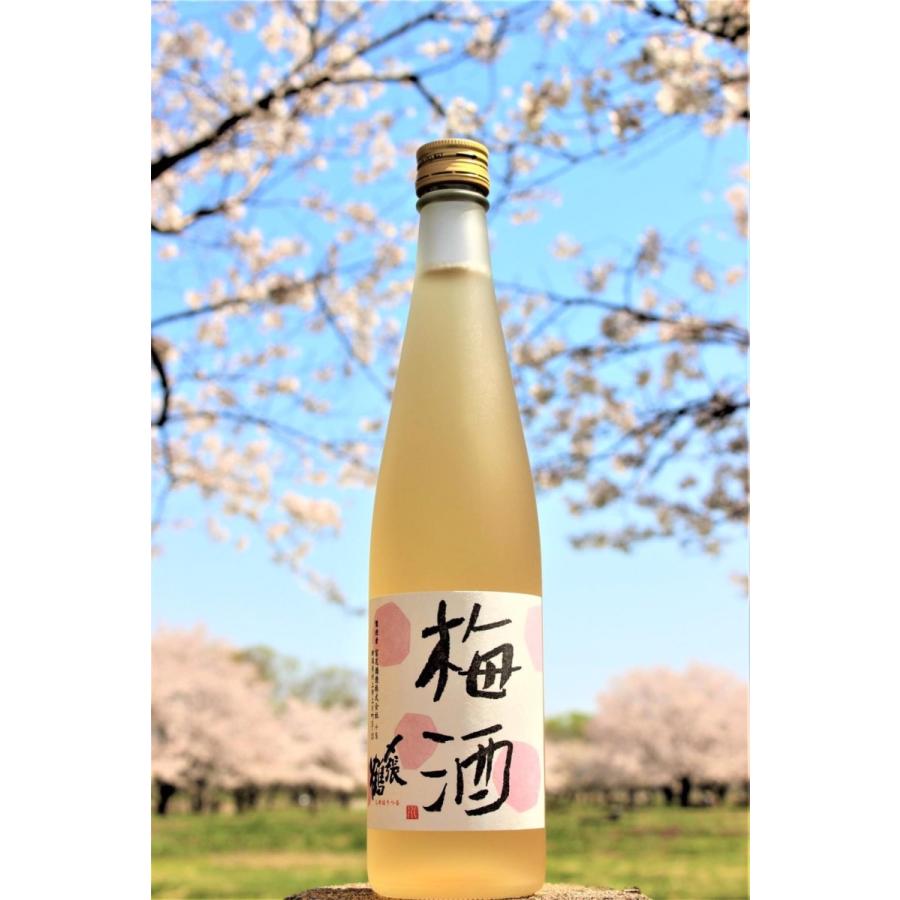 2026-4月詰】〆張鶴の梅酒（リキュール） 500ml 宮尾酒造 日本酒 新潟