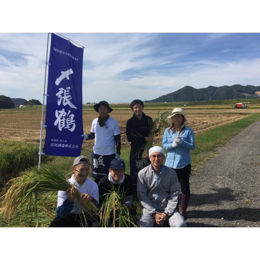 【2026-9月詰】〆張鶴 純米吟醸 越淡麗 秋あがり 1800ml　日本酒 新潟 地酒  辛口 清酒 ギフト おすすめ 人気 お歳暮 父の日 誕生日 贈答用 | 〆張鶴 | 02