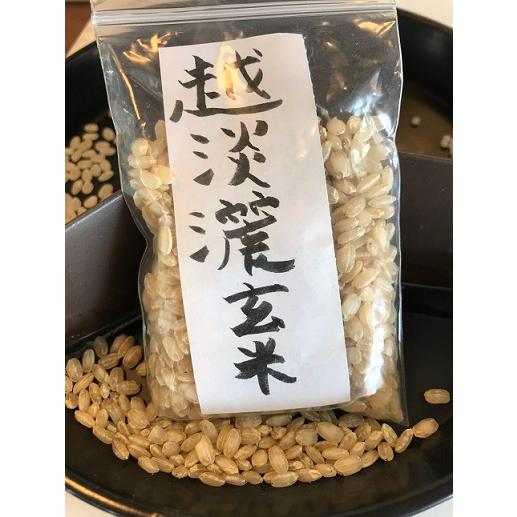 【2026-9月詰】〆張鶴 純米吟醸 越淡麗 秋あがり 1800ml　日本酒 新潟 地酒  辛口 清酒 ギフト おすすめ 人気 お歳暮 父の日 誕生日 贈答用 | 〆張鶴 | 03