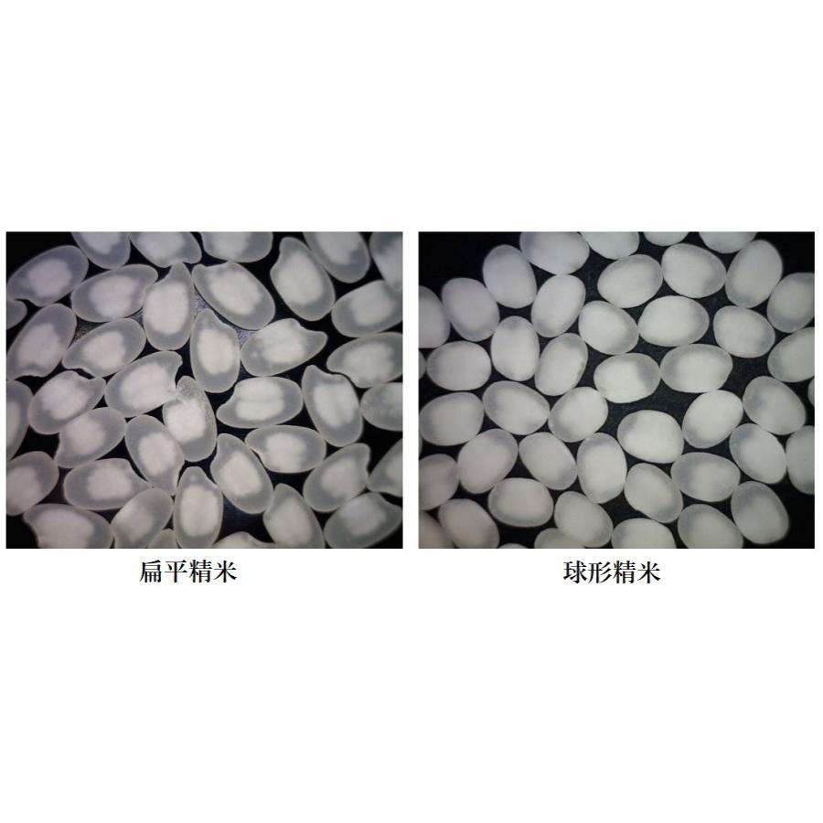 2025-8月詰】高千代 完全発酵素濾過火入 美山錦 辛口 純米酒 1800ml