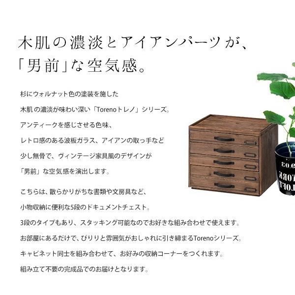 木製引出しチェスト5段 Torenoトレノ 木目×アイアンネームの男前ヴィンテージ 引き出しドキュメントチェスト 書類棚 A4収納 ccr-106 [ld]の画像