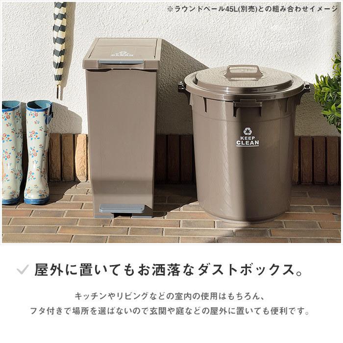 フタ付きペダル式ダストボックス45L 日本製 ごみ箱 ゴミ箱 45 フタ付きペダル式ダストボックス45L 日本製 ごみ箱 ゴミ箱 45