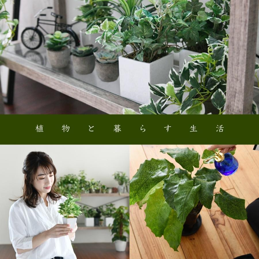 デスク 幅90 ガラス グリーンインテリア 古材 古木 インテリア 奥行45 グリーン 観葉植物 シャビー 植物 棚 ラック おしゃれ 木製 机 Pc リビング Faw 0003 Marusyou まるしょう 通販 Yahoo ショッピング