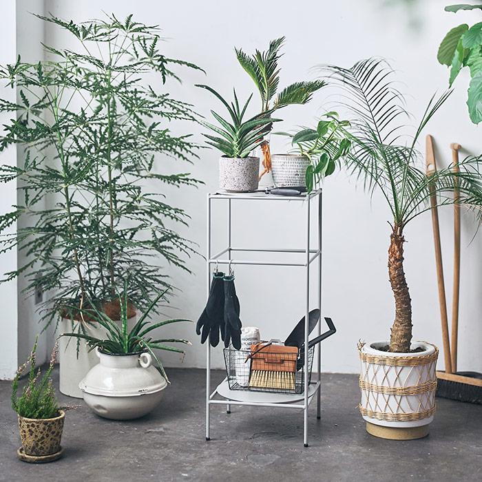 スチール製 プランタースタンド2段 幅30cm 観葉植物棚 プランツラック プラントスタンド フラワースタンド グリーン シェルフ_12