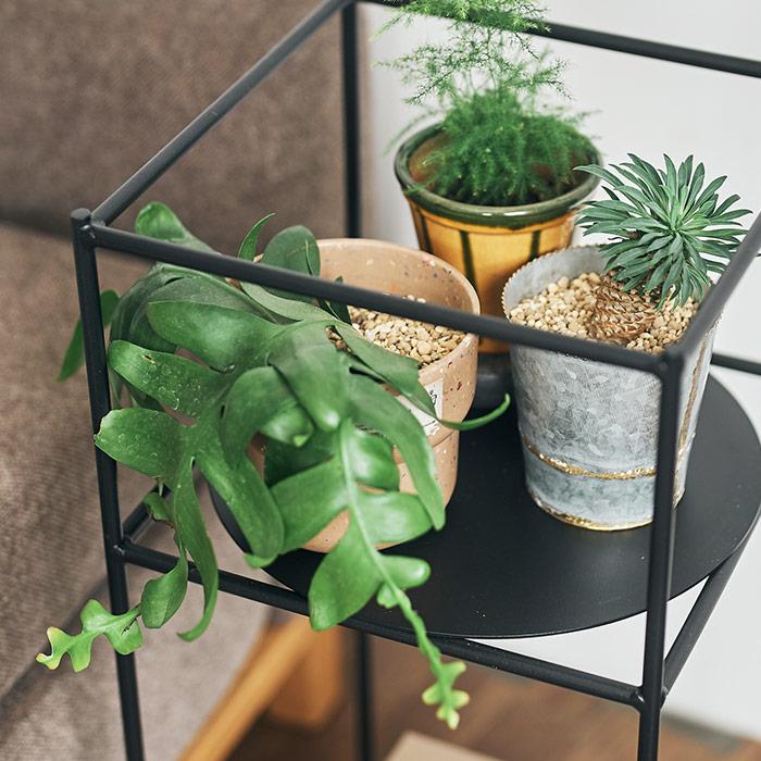 スチール製 プランタースタンド2段 幅30cm 観葉植物棚 プランツラック プラントスタンド フラワースタンド グリーン シェルフ_14