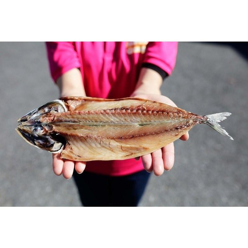 干物 詰め合わせ 8枚 黒潮 干物セット 鯵 アジ 真サバ マサバ 真ほっけ マホッケ 金目鯛 キンメダイ カマス 父の日 ギフト｜marutake-netshop｜03