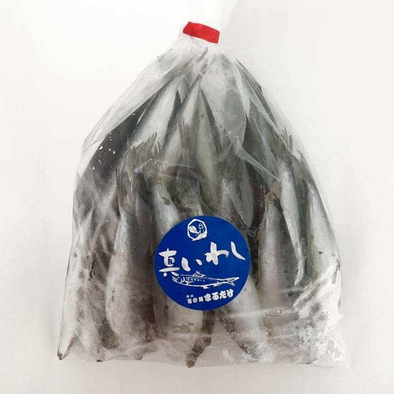 得用いわし 1kg×5セット(5kg) お買い得 詰め合わせセット 国産 愛知県産 鰯 真イワシ 真いわし 父の日 ギフト｜marutake-netshop｜02