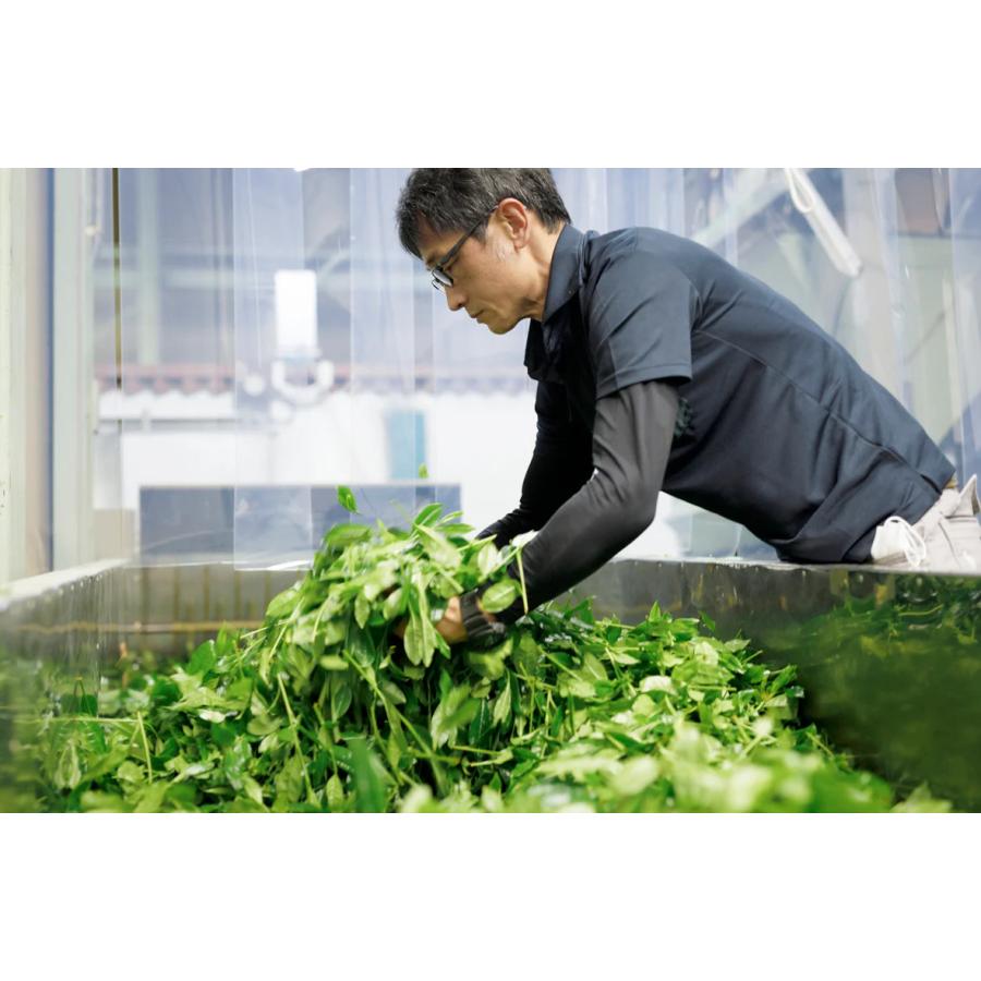 長谷川榮製茶場 濃い抹茶飴 茶舗ゆと葉 KYOTO UJI matcha Green Tea