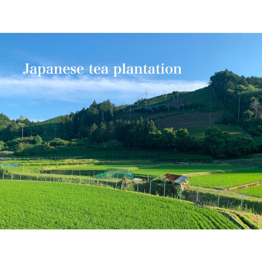 上林春松本店 抹茶 今日庵坐忘斎宗匠御好 「嘉辰の昔（かしんのむかし