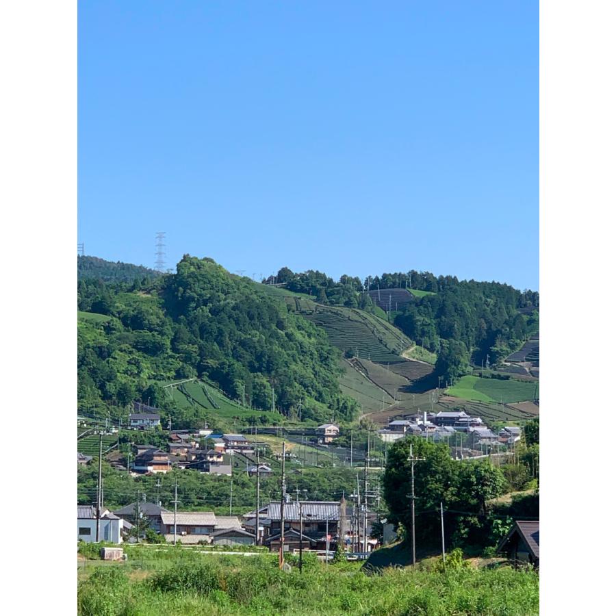 上林春松本店 抹茶 初昔 (Hatsumukashi) 【Ceremonial Grade】濃茶用