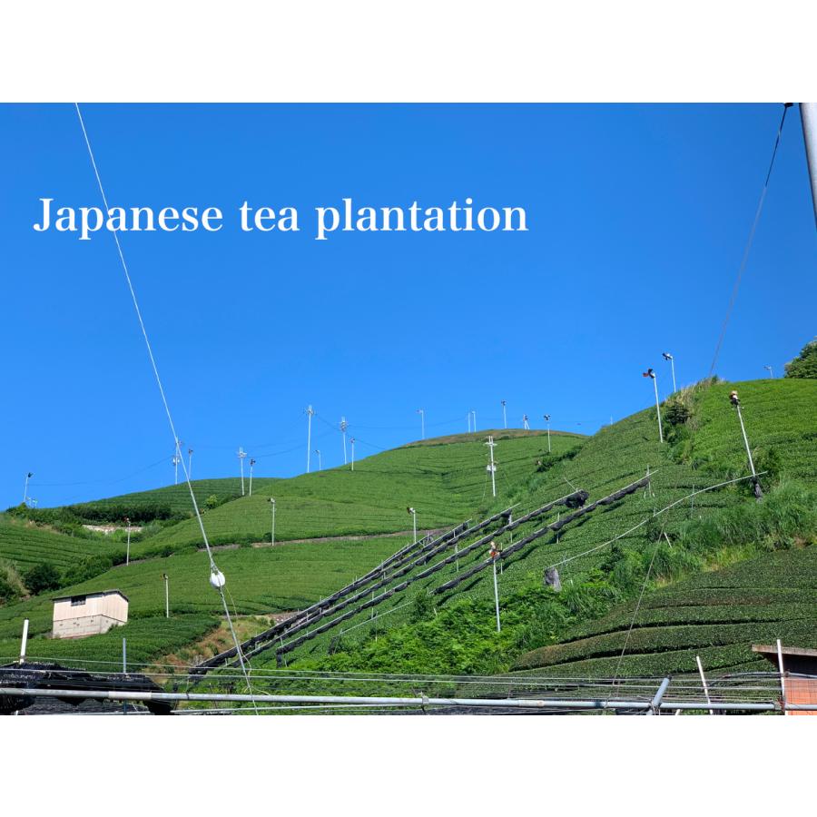 辻利兵衛本店 宇治抹茶 千代昔（CHIYOMUKASHI）濃茶用 KYOTO UJI