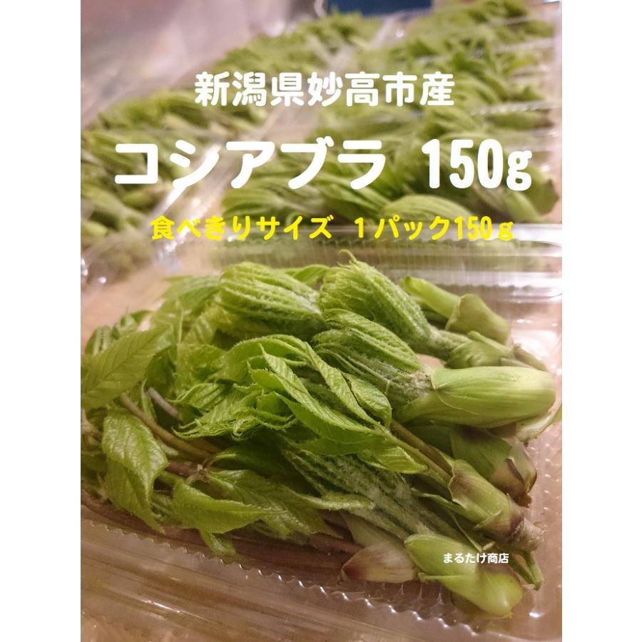 山菜 こしあぶら 150g 天然 新潟産 妙高市産 朝採り 産地直送 山菜 こしあぶら 150g 天然 新潟産 妙高市産 朝採り 産地直送