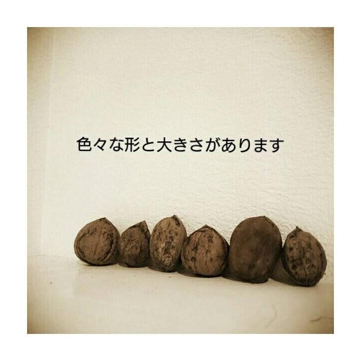 くるみの殻 3kg 国産無農薬 煮沸洗浄済 くるから ガーデニング 手芸