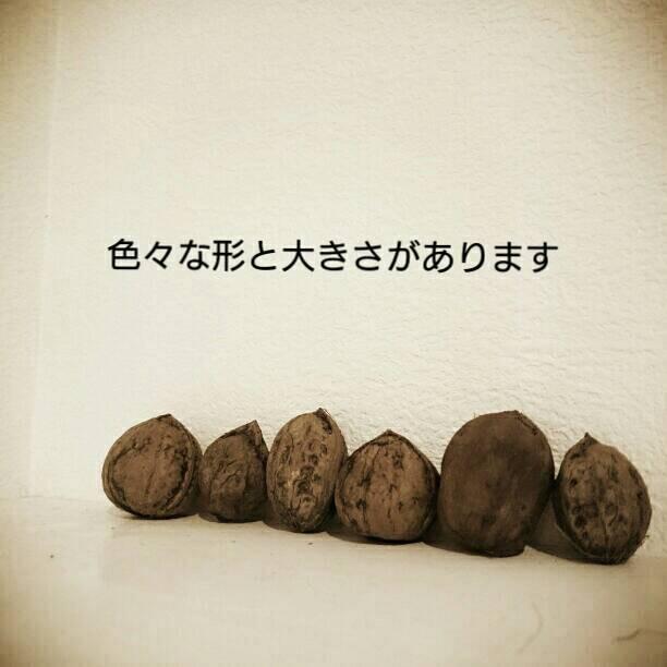 くるみの殻 くるから 国産無農薬 煮沸洗浄済み 1kg 3リットル くるみの殻 くるから 国産無農薬 煮沸洗浄済み 1kg 3リットル