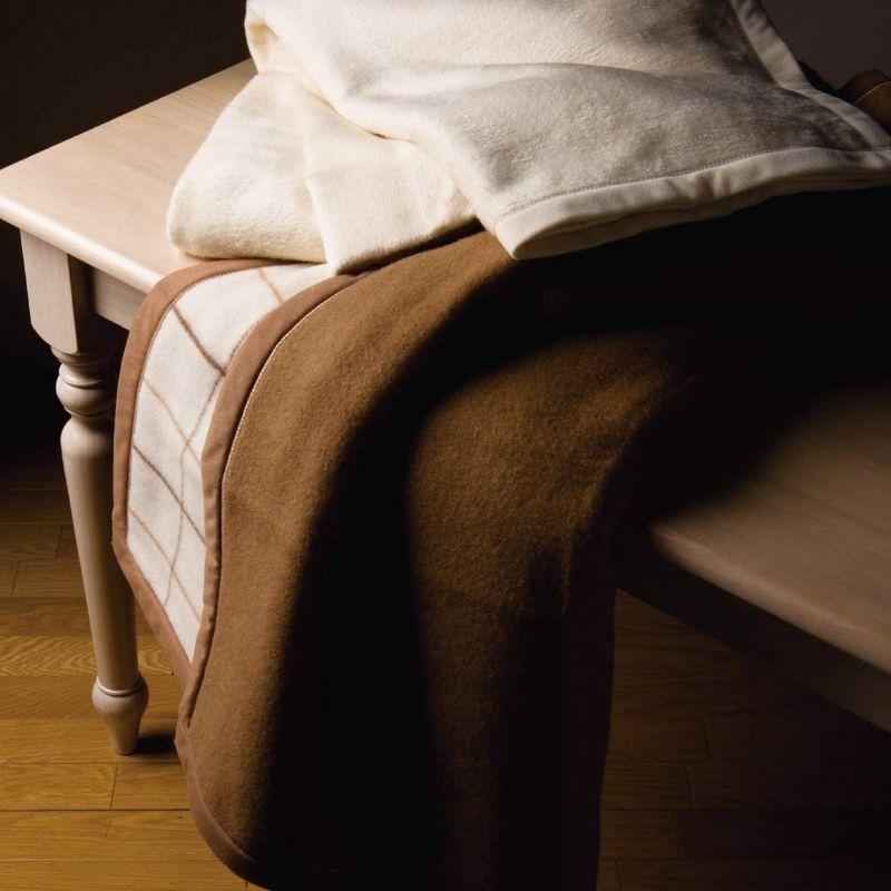 【即購入⭕️】 西川 シルク毛布(毛羽部分) 2049-74828 6119-013 140×200cm 【A2367669209】(12929円)