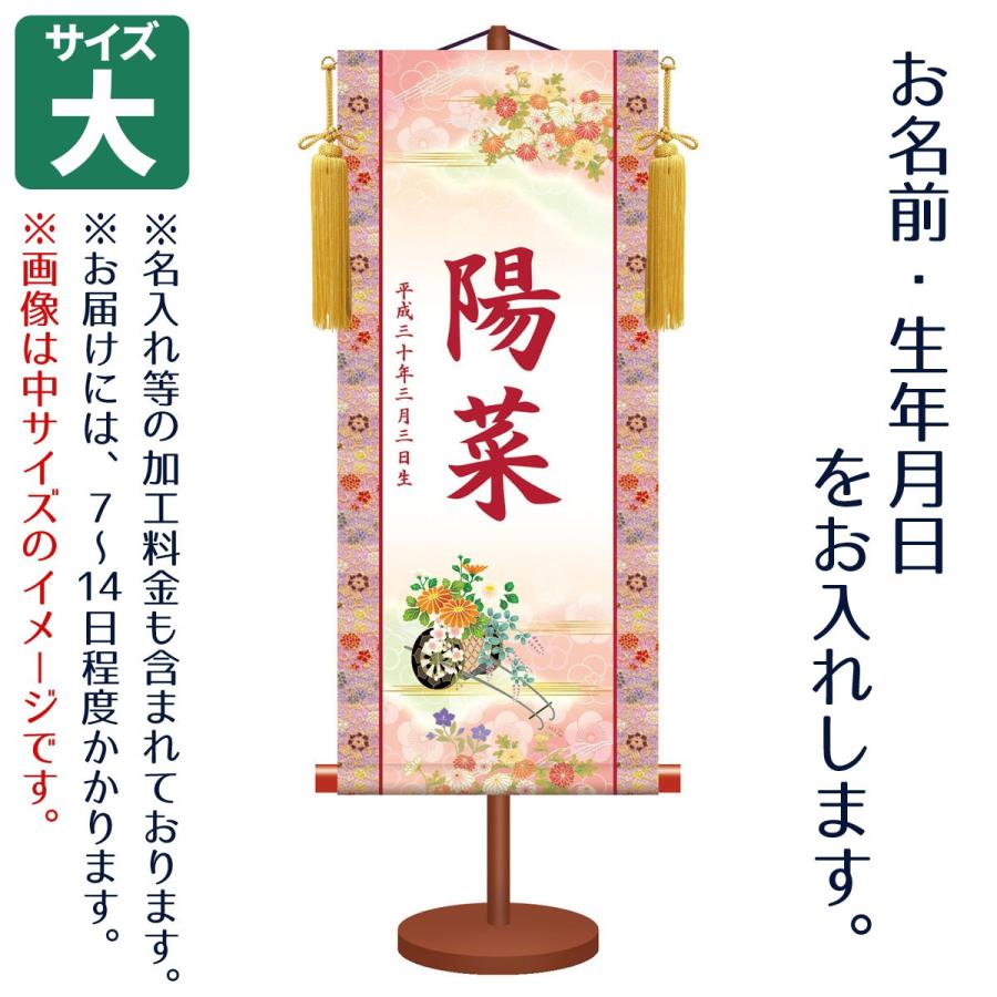 Desporte カンピーナス　26.0cm フットサルシューズ MOLDINO カッタ用インサート EDNW10T3TN-10 JP4105 MOLDINO EDNW10T3TN