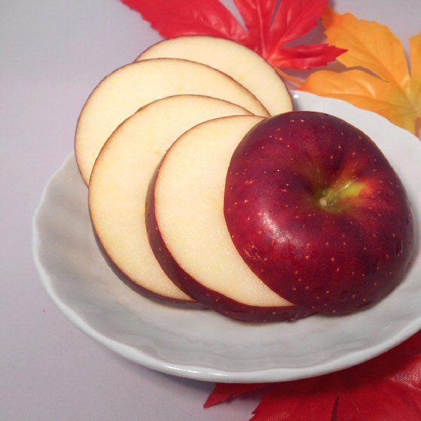 訳あり りんご 秋映 Cランク 家庭用 約 10kg 24玉〜36玉 長野県産