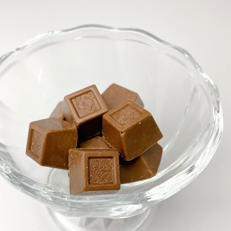 すや亀 みそチョコレート 10袋入り 送料無料 善光寺門前 商品 ギフト