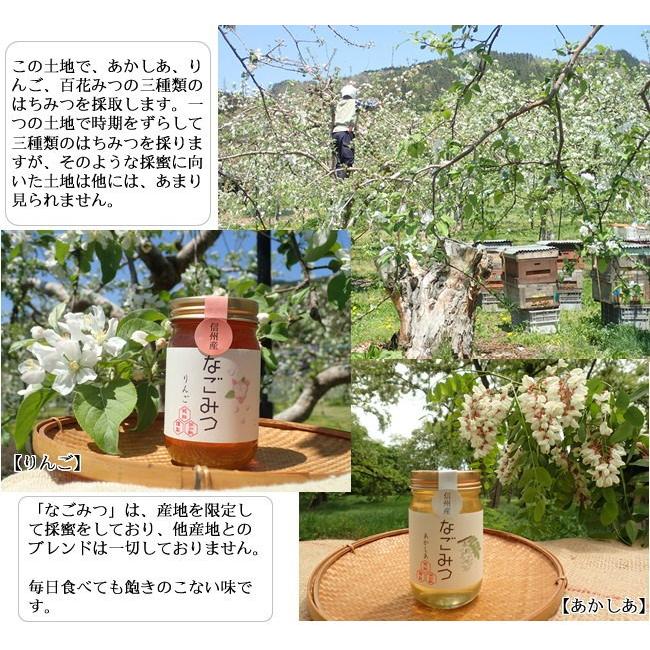あかしあはちみつ 300g 1本 なごみつ 北信濃産 国産純粋はちみつ ハチミツ ハニー HONEY アカシア 蜂蜜 瓶詰 信州 長野 お中元 2024 ギフト プレゼント 食べ物