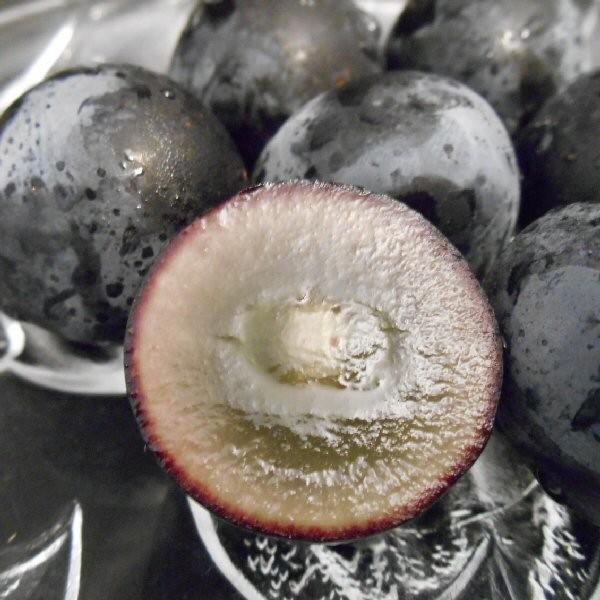 予約 ナガノパープル 約1.8kg（2〜4房詰）長野県産 贈答向け クール