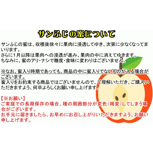 訳あり りんご サンふじ 約10kg Cランク 家庭用 糖度13度以上 CA貯蔵 長野県産送料無料 フルーツ リンゴ 信州 クール便配送 クール便手数料別プラス｜marutomi-s｜11