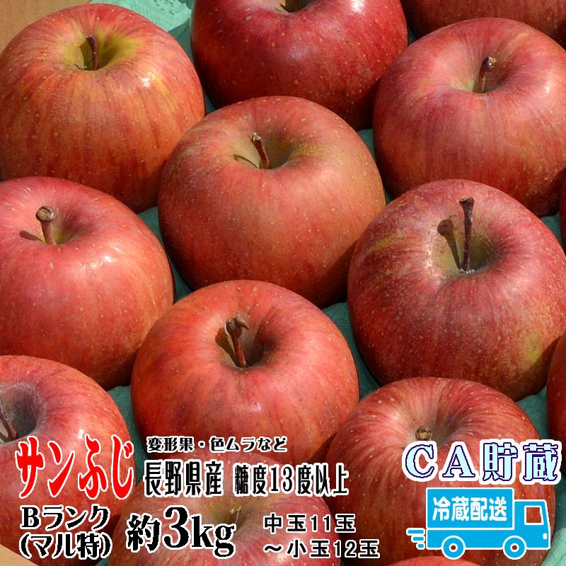 信州りんご サンふじ 約3キロ 送料無料 山形県産 減農薬栽培 りんご 「夏あかり」2キロ箱 無選果