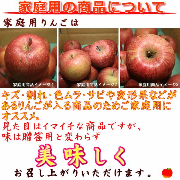 りんご 訳あり サンふじ 約5kg Cランク 家庭用 CA貯蔵 長野県産 送料無料 フルーツ リンゴ 信州 クール便配送 クール便手数料別プラス｜marutomi-s｜08