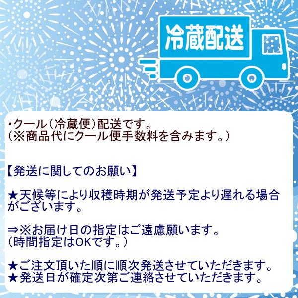 チルド便発送】ご予約品3kg ふるさと納税】＜先行予約！2026年6月上旬