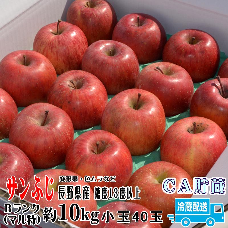 長野県産サンフジ小玉10キロ ギフト】【小玉りんご】10kg 甘い！美味しい！家庭用小玉サンふじ(40
