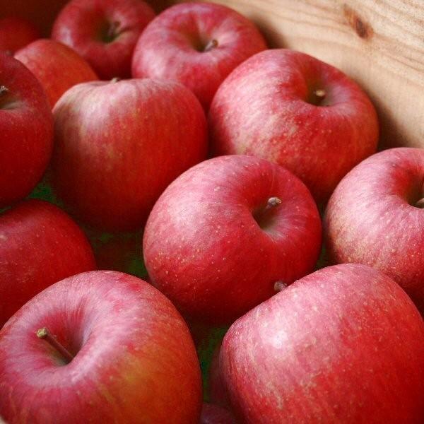 ギフト りんご サンふじ 約10kg Bランク マル特 小玉40玉 長野県産