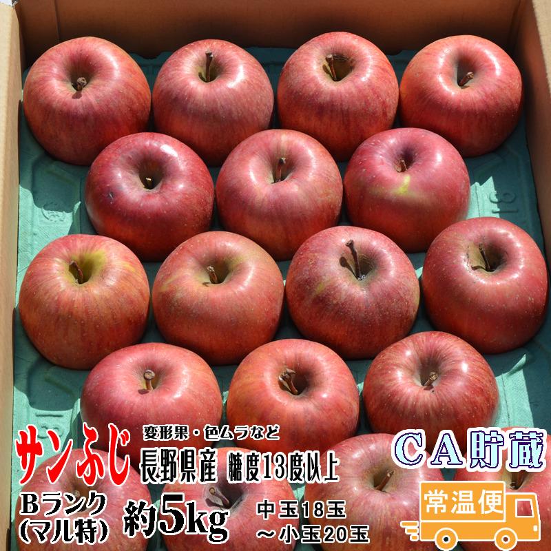 長野県産、サンザシ5キロ りんご サンふじ 約5kg 中玉18玉〜小玉20玉 Bランク マル特 長野