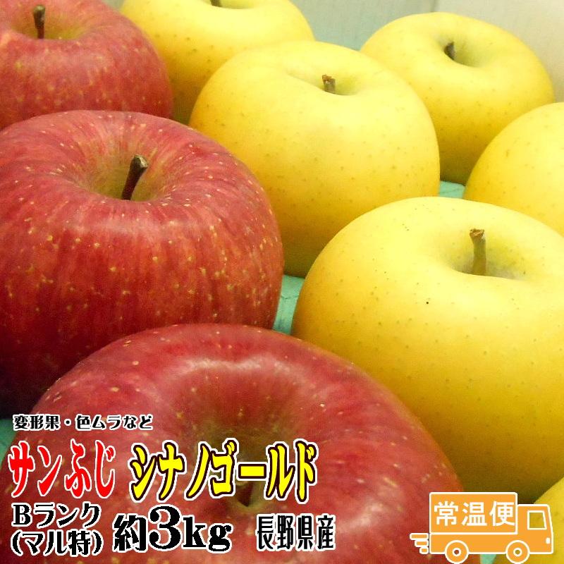 ギフト りんご サンふじ・シナノゴールド 詰合せ Bランク マル特 約3kg 長野県産 送料無料 フルーツ リンゴ