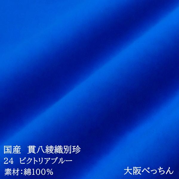 国産 貫八綾織 別珍 生地 布 綿100% 生地幅×10cm単位販売 水色 青色