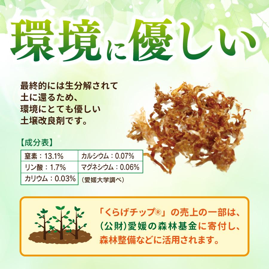 マルトモ公式 くらげチップ 15g（非在庫品）｜マルトモ海幸倶楽部
