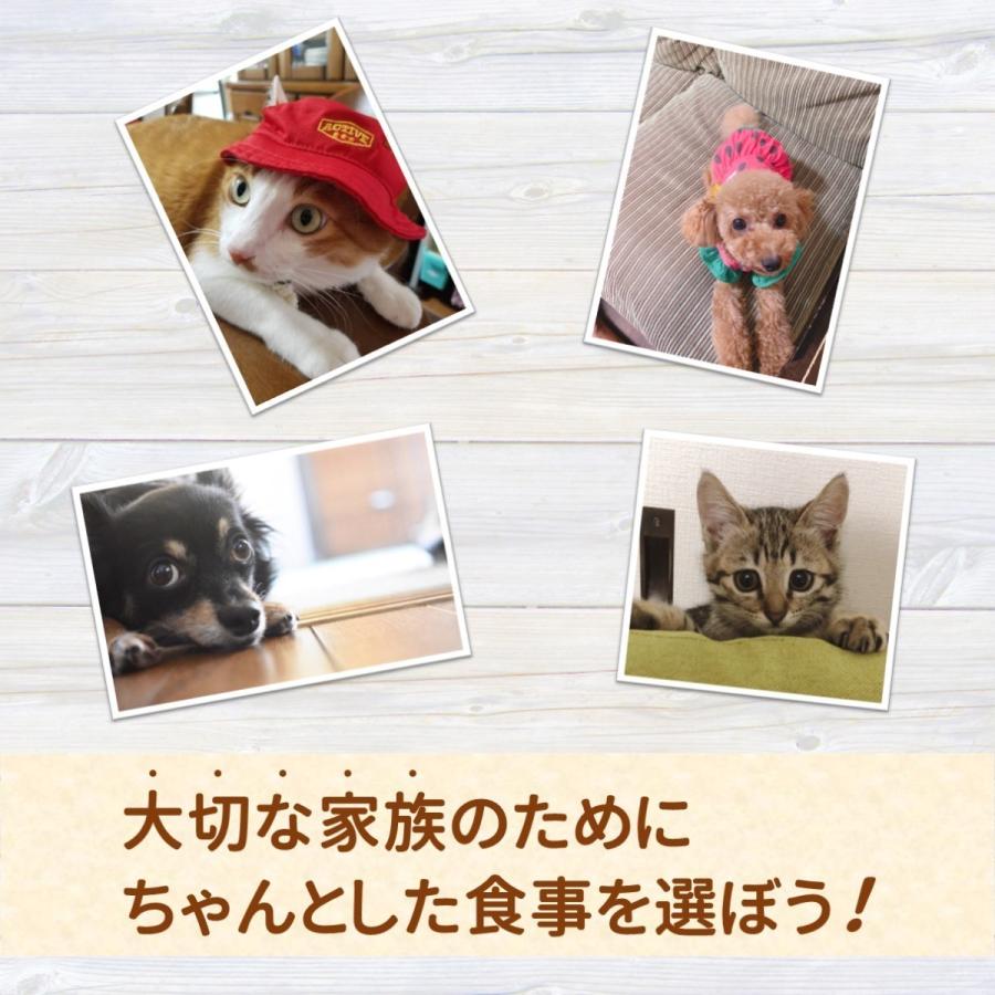 まぐろだいすき 45g マルトモ公式 ねこ いぬ 【91%OFF!】 猫 ふりかけ 犬 ドライフード トッピング ウェットフード おやつ まぐろだいすき 45g マルトモ公式 ねこ いぬ 【91%OFF!】 猫 ふりかけ 犬 ドライフード トッピング ウェットフード おやつ