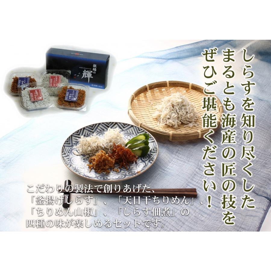 送料無料 ご贈答に最適 まるとも海産特選 銀鱗の輝 4種詰合セット 超人気