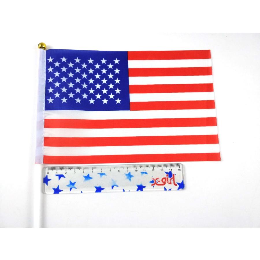 爆買 アメリカ国旗 ミニフラッグ 10点セット 8号 21cmX14cm 棒付き USA