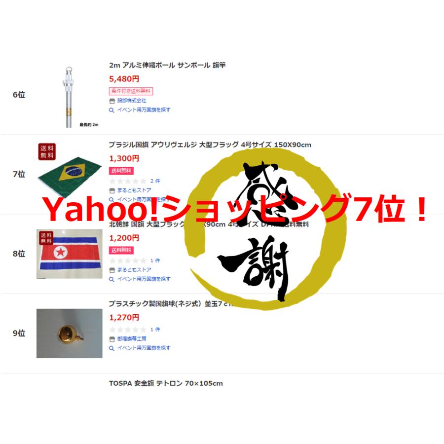 ブラジル 国旗 アウリヴェルジ 大型フラッグ 155cmX90cm 4号サイズ Y7