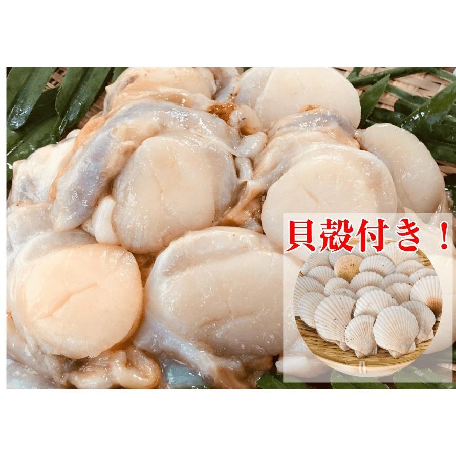 北海道宗谷産 帆立ウロ取り生冷むき身 刺身可 500gパック 焼き用貝殻セット 177 1 海産物天然鮭のマルトウ 石井商店 通販 Yahoo ショッピング