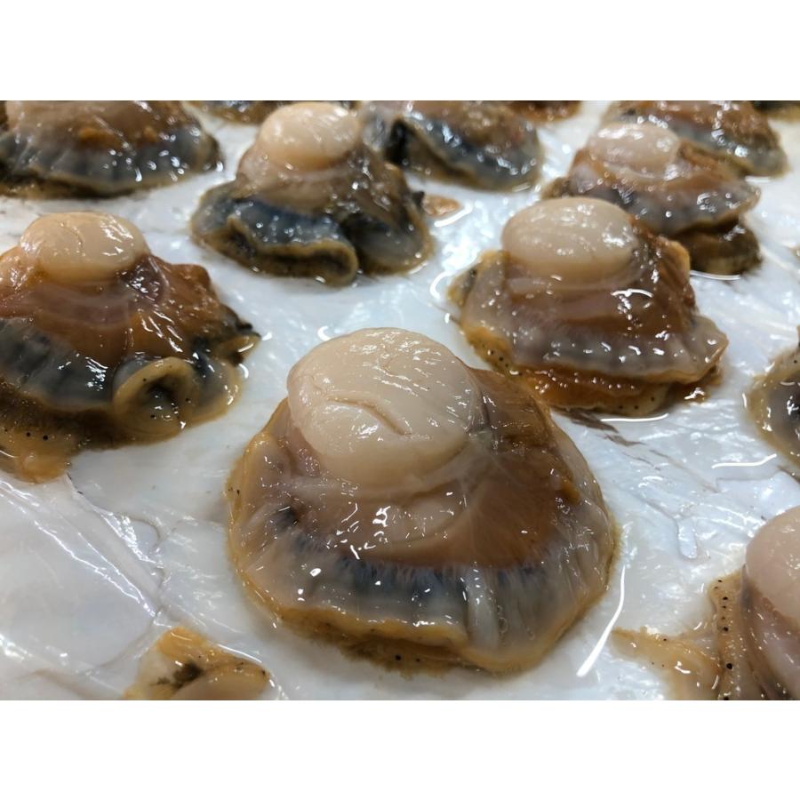 北海道宗谷産 帆立ウロ取り生冷むき身 刺身可 500gパック 焼き用貝殻セット 177 1 海産物天然鮭のマルトウ 石井商店 通販 Yahoo ショッピング