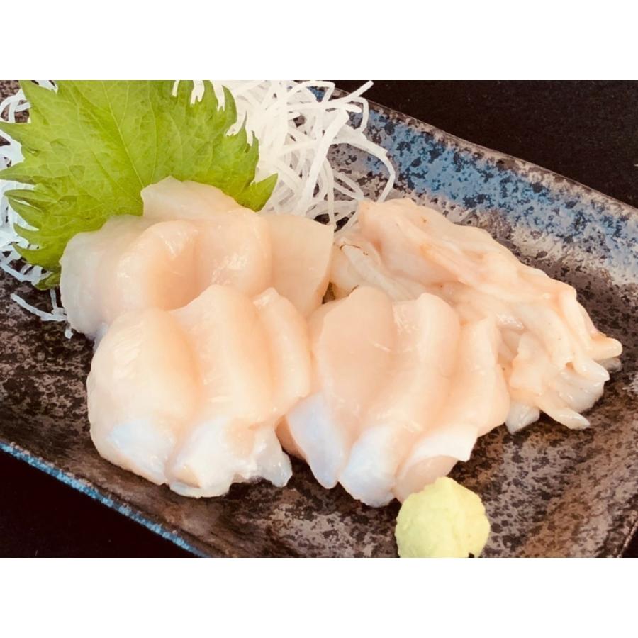 北海道宗谷産 帆立ウロ取り生冷むき身 刺身可 500gパック 177 海産物天然鮭のマルトウ 石井商店 通販 Yahoo ショッピング