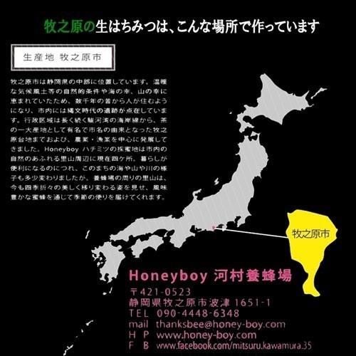 柔らかな甘さが口の中に広がります 静岡 牧之原 生はちみつ 6月採蜜 Hanyboy-06y 非加熱 無農薬 天然生蜂蜜 蜂蜜 無添加 ハニー 完熟純粋 ミックス｜marutoyo0122｜05